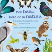 Mon beau livre de la nature : à la découverte des petites bêtes et des oiseaux... : dessine, colorie et colle des autocollants !