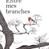 Entre mes branches