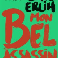 Mon bel assassin