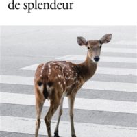 Un bref instant de splendeur