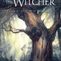 Le sorceleur Volume 2, L'épée de la providence