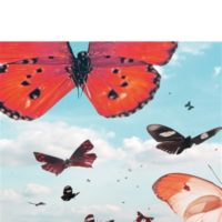 Les enfants sont rois