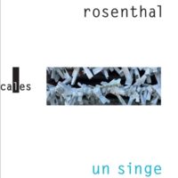 Un singe à ma fenêtre