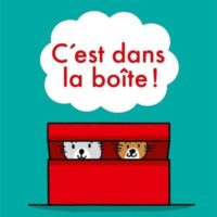 C'est dans la boîte!