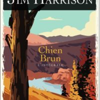 Chien brun : l'intégrale