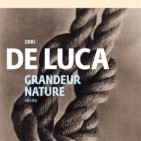 Grandeur nature : récits