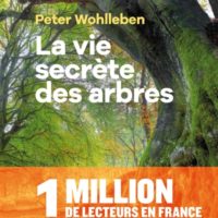 La vie secrète des arbres : ce qu'ils ressentent, comment ils communiquent : un monde inconnu s'ouvre à nous