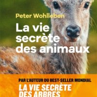La vie secrète des animaux : amour, deuil, compassion : un monde caché s'ouvre à nous