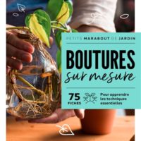 Boutures sur mesure