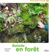 Balade en forêt