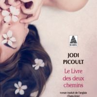 Le livre des deux chemins