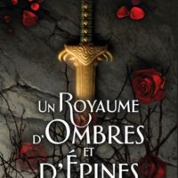 Un royaume d'ombres et d'épines - Tome 1 - La guerre des royaumes