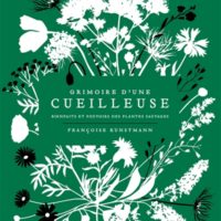 Grimoire d'une cueilleuse : bienfaits et pouvoirs des plantes sauvages