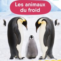 Les animaux du froid