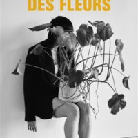 La vallée des fleurs