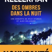 Des ombres dans la nuit