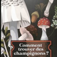 Comment trouver des champignons ? : de la cueillette à l'assiette
