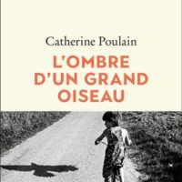 L'ombre d'un grand oiseau