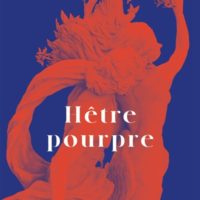 Hêtre pourpre