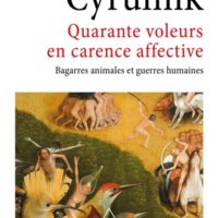 Quarante voleurs en carence affective : bagarres animales et guerres humaines