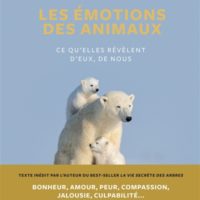 Les émotions des animaux : ce qu'elles révèlent d'eux, de nous