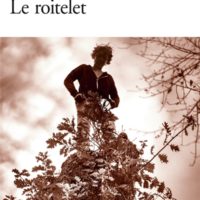 Le roitelet