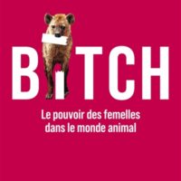 Bitch : le pouvoir des femelles dans le monde animal