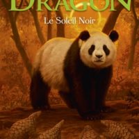 Les messagers du dragon Volume 4 - Le soleil noir