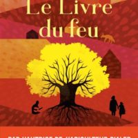 Le livre du feu